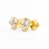 The Nova Diamond Cluster Studs