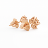 The Nova Diamond Cluster Studs