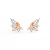 The Aurelia Climber Studs