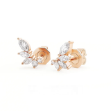 The Aurelia Climber Studs