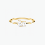The Nova Ring